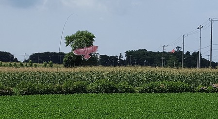 20170720_135932 (2)