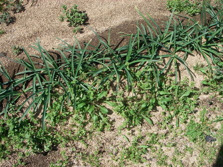 20130404_104530