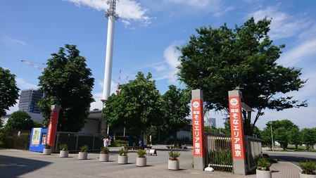 _20180629_114413