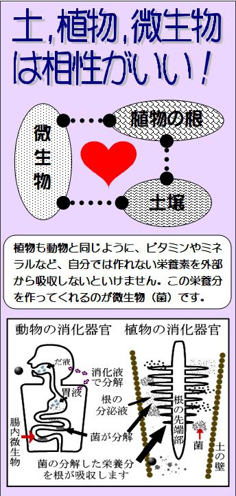 グラフィックス1