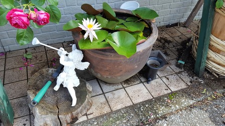 20170602_093751