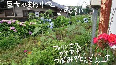 InkedDSC_0433_LI