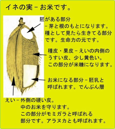 ijh001+4