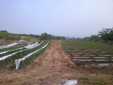 P1000017
