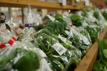 アグリパーク竜王野菜特産品直売所 (7)