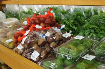 アグリパーク竜王野菜特産品直売所 (2)