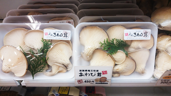 足太あわび茸(滋賀竜王) (4)