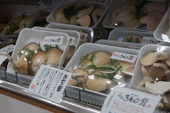アグリパーク竜王野菜特産品直売所 (5)