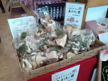 あわび茸のバター焼き試食販売 (1)