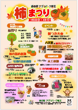 柿チラシ