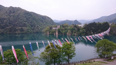 赤谷湖の鯉のぼり