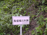 M1360005