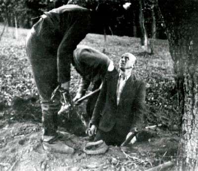 essay on hitler and the holocaust essay on hitler and the holocaust