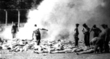 WieselAuschwitzpits