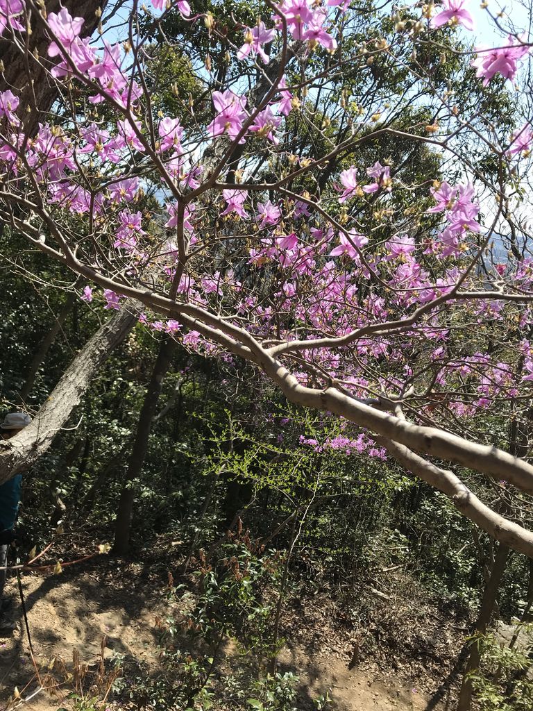 DFAC2232-1A59-4F05-9934-D059C184596D