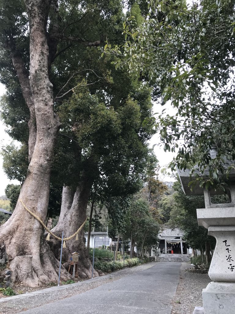 83B9E809-73AD-400D-837F-9053DE977068