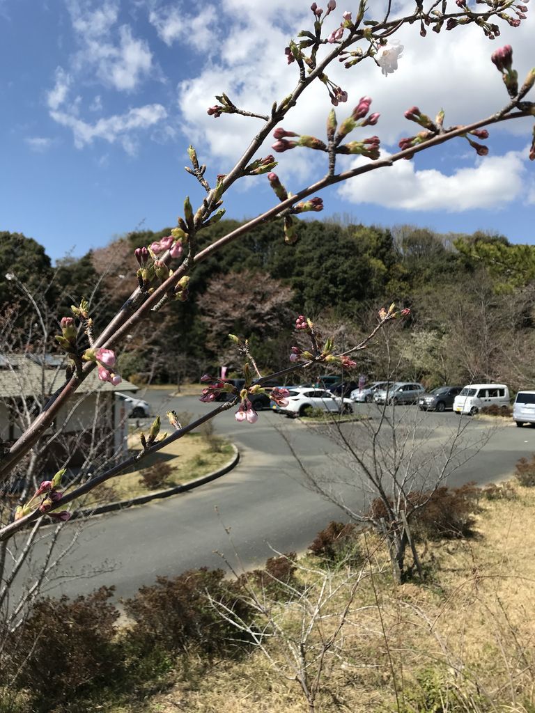 061313D4-C32B-4151-AB75-F6CC9957F310