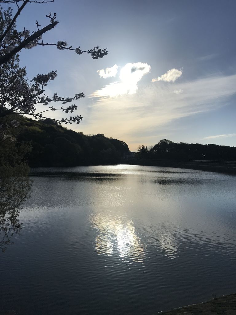 427FEDD7-CF6A-4C9E-985F-CF30C838B22A