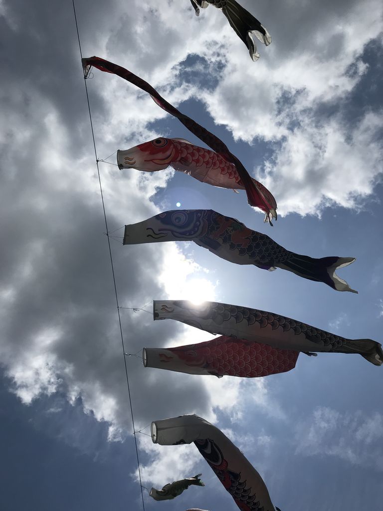 7F3DE97E-6AC3-4219-85C5-E22DFC91DD68