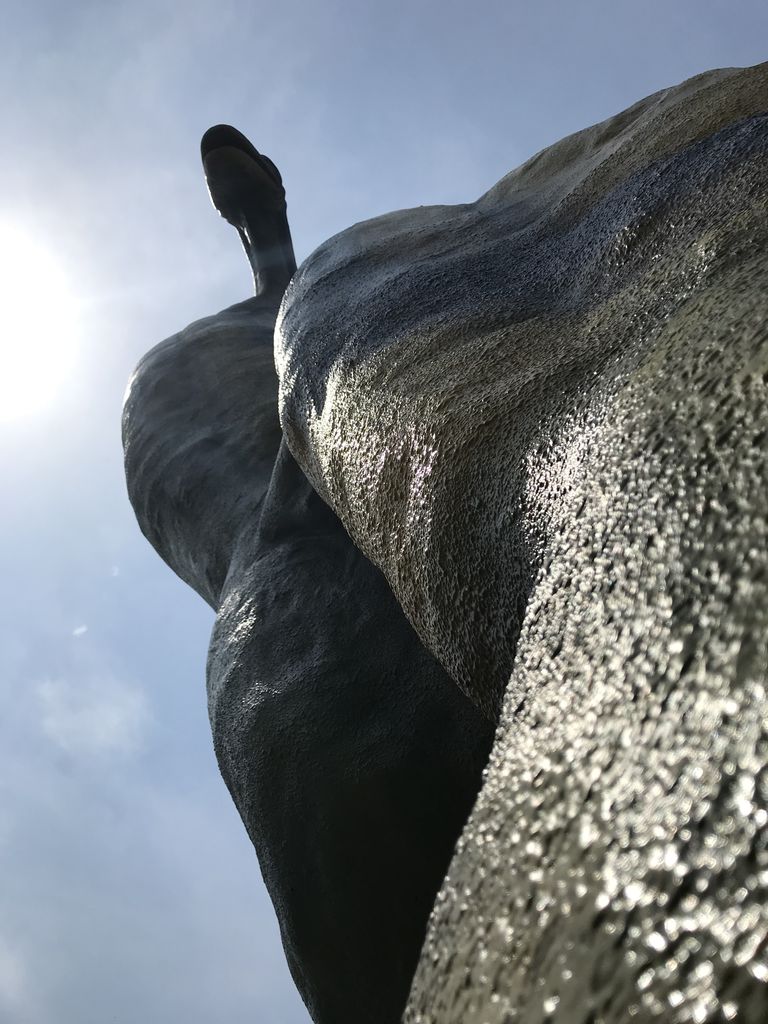 5ECA964B-8068-459B-9F8A-A3D2EFBD6EB8