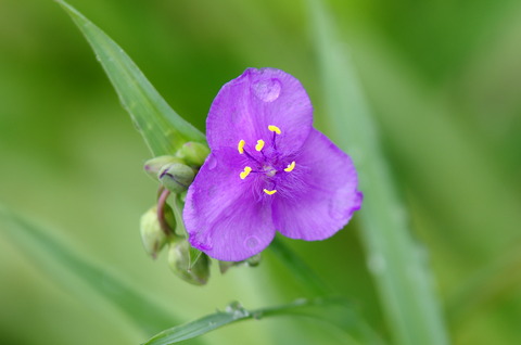 IMGP3470