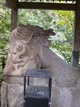 画像-0009