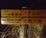 5a68cb43.jpg