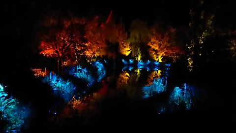 DSC_0043