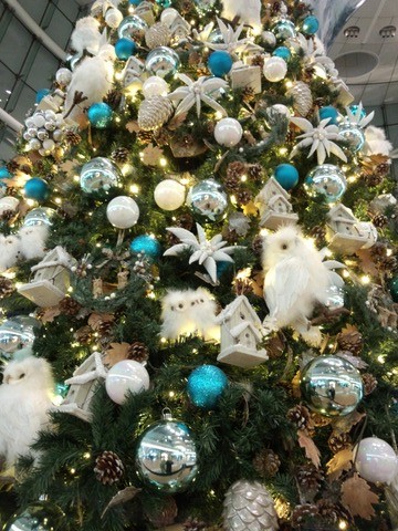 hanedatree2