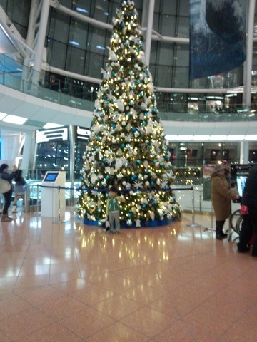 hanedatree1