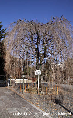 ����