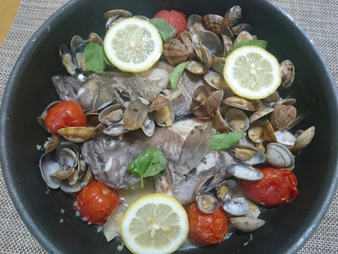 ネコ飯 その後の根魚たち 猫またぎ釣り道楽 L