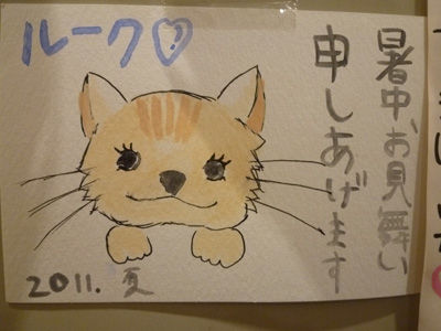 ���渫�񤤣�