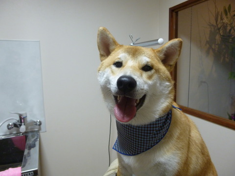 P1000165