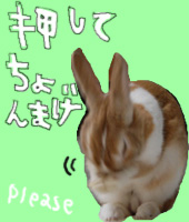 押すべし