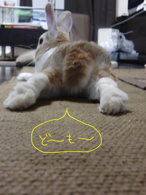 ブログ用1