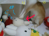 ぐへ