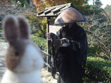 坊様とミニ四葉
