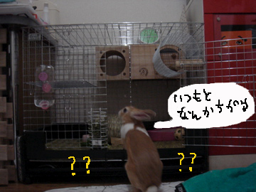いつもと何か違う