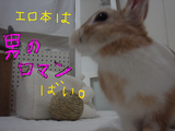 エロ本は男のロマンばい