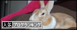 br_decobanner_20100221231907