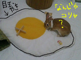 めだまやき