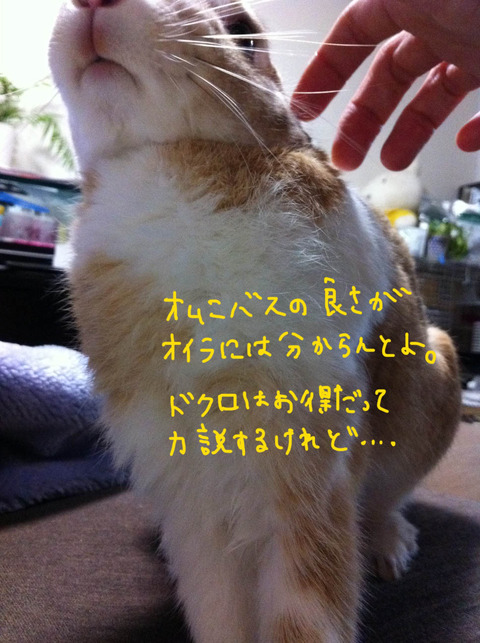 __(14)