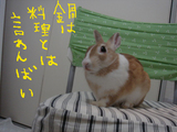 鍋は料理とは言わん