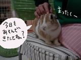今日も遊んできたとね?