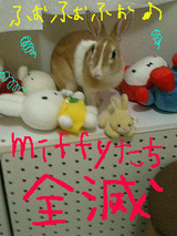 miffy全滅
