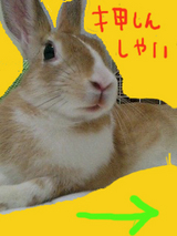 ばな