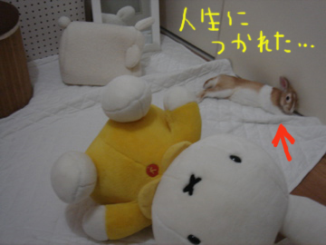 人生に疲れた