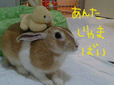じゃまばい