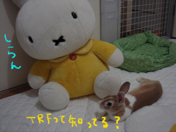 TRFって知ってる?